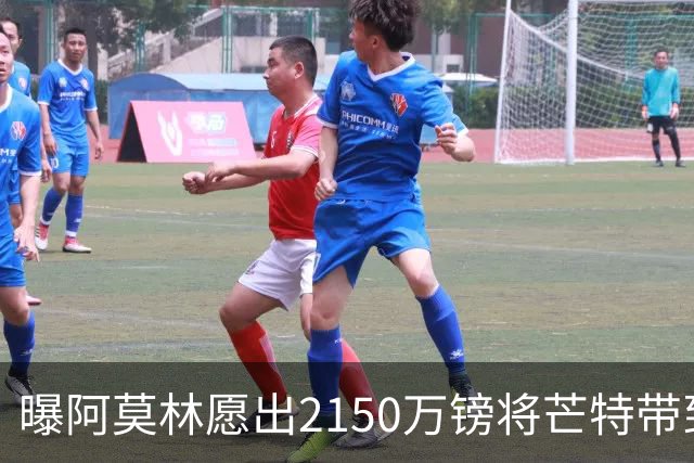 曝阿莫林愿出2150万镑将芒特带到米兰 曼联今夏无意出售